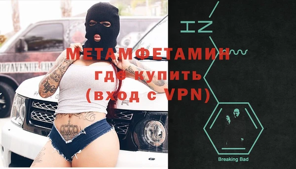 прущие грибы Семикаракорск